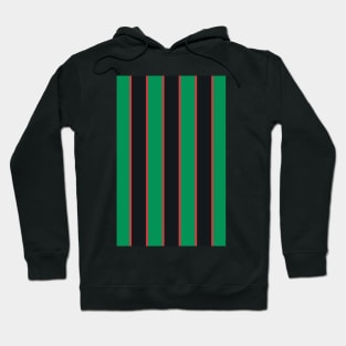 Villa Retro 1993 - 95 Green Black and Red Striped Hoodie